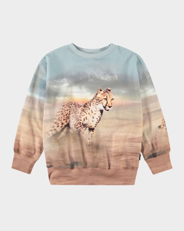 Boy's Mattis Pritned Organic Cotton Sweatshirt, Size 3-7
